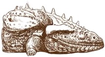 a drawing of a lizard with its head on a piece of bread.jpg
